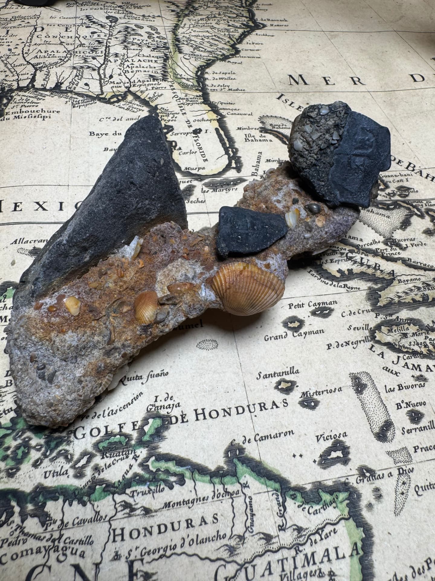 Marine conglomerate from a Spanish shipwreck with encrusted coins, shells, and iron artifacts resting on an antique chart