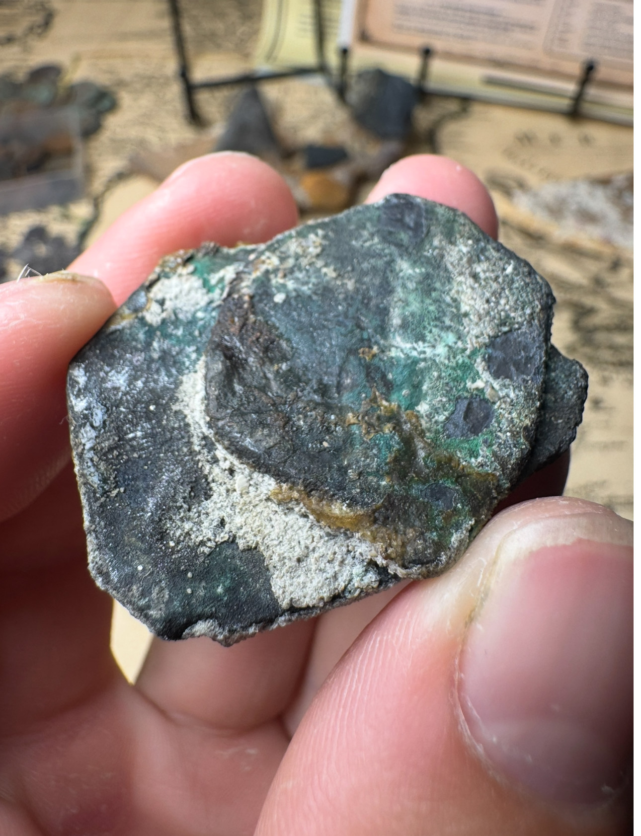 1715 Fleet two-coin silver clump held in hand showing green marine patina