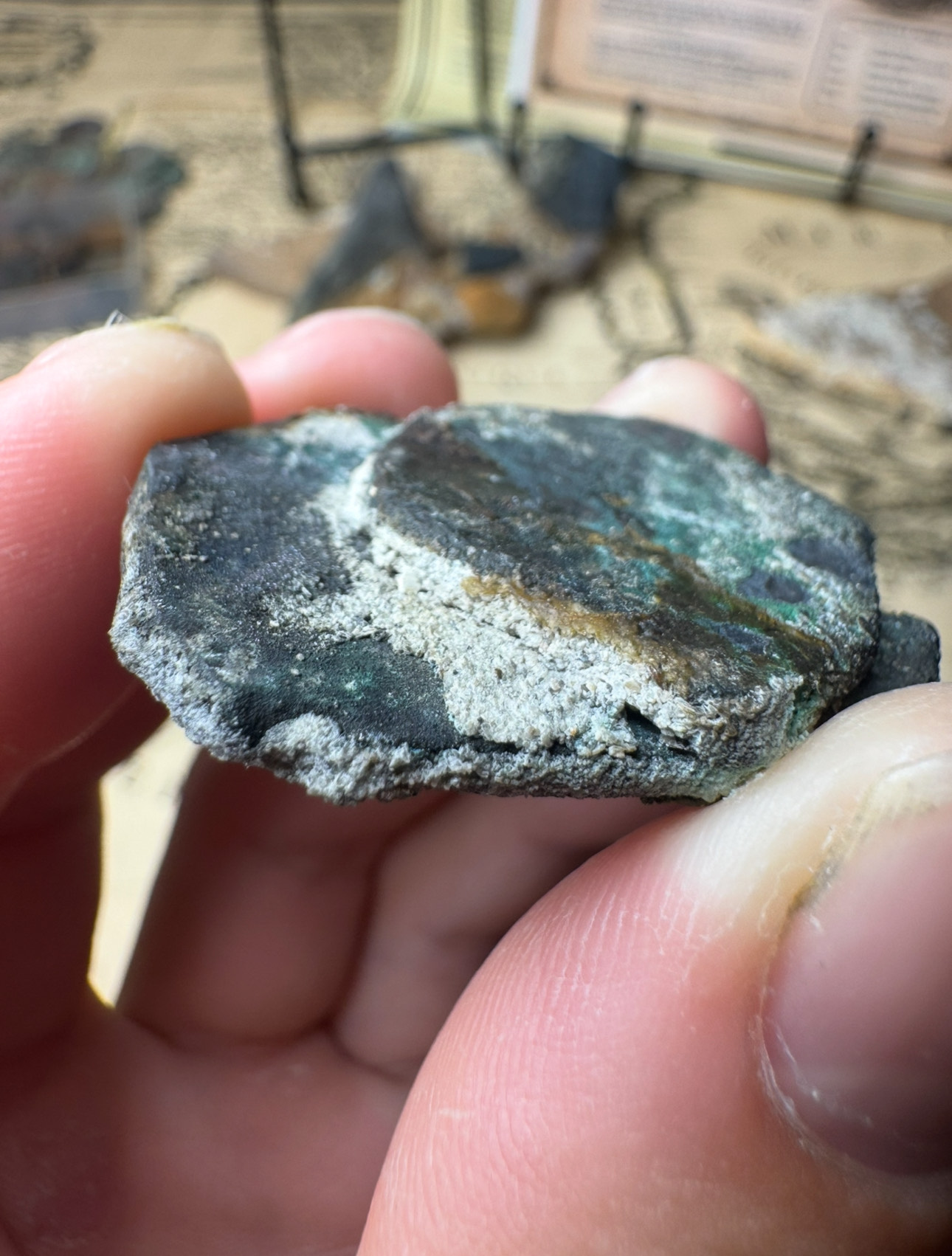 Edge view of the fused 8 reales and 4 reales shipwreck clump