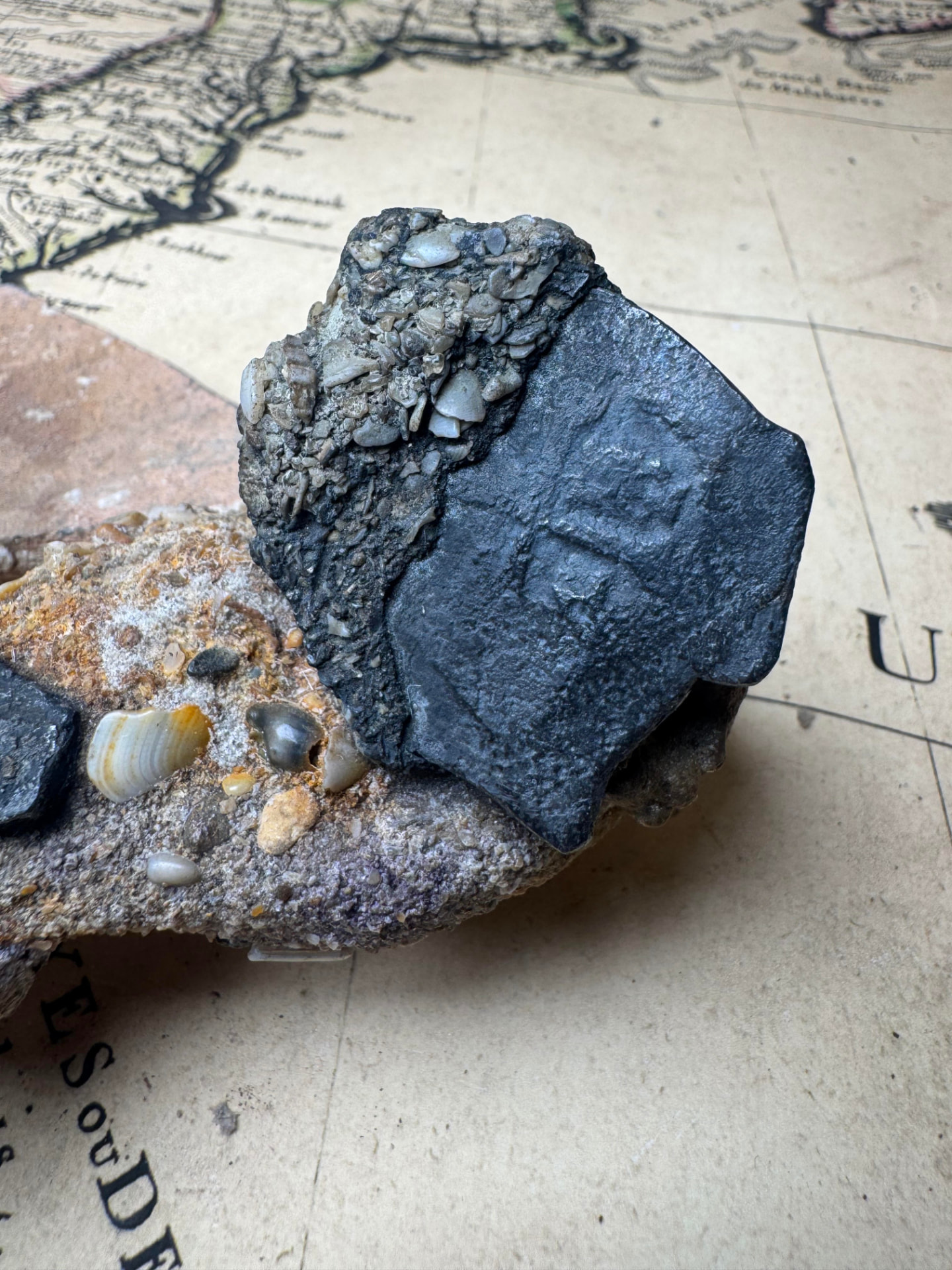 Encrusted 8 reales silver cob fused into the shipwreck conglomerate