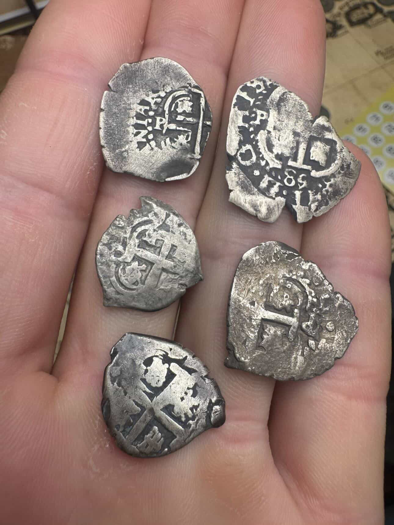 Close view of five Spanish colonial silver cobs from the Florida recovery lot